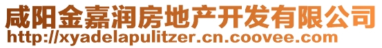 咸陽金嘉潤房地產開發(fā)有限公司