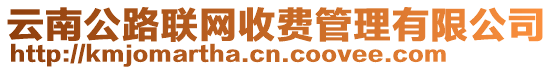 云南公路聯(lián)網(wǎng)收費(fèi)管理有限公司