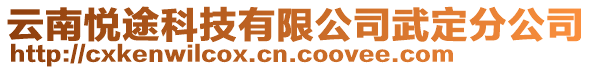 云南悅途科技有限公司武定分公司