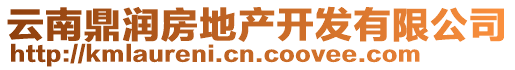 云南鼎潤(rùn)房地產(chǎn)開(kāi)發(fā)有限公司