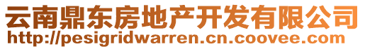 云南鼎東房地產(chǎn)開發(fā)有限公司