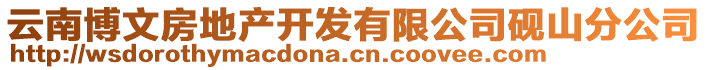 云南博文房地產(chǎn)開發(fā)有限公司硯山分公司