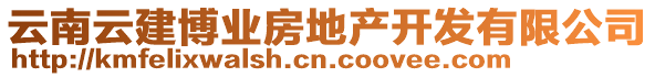 云南云建博业房地产开发有限公司