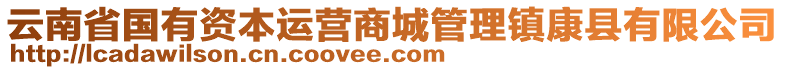 云南省國有資本運營商城管理鎮(zhèn)康縣有限公司