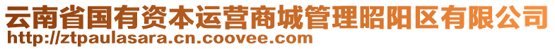 云南省國(guó)有資本運(yùn)營(yíng)商城管理昭陽(yáng)區(qū)有限公司