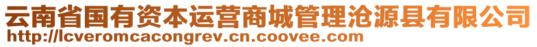 云南省國有資本運(yùn)營商城管理滄源縣有限公司