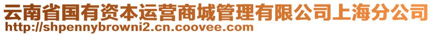 云南省國(guó)有資本運(yùn)營(yíng)商城管理有限公司上海分公司