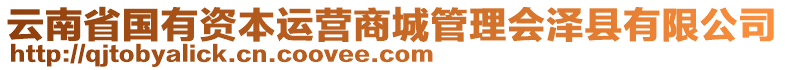 云南省國有資本運營商城管理會澤縣有限公司