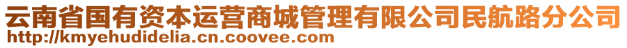 云南省國有資本運(yùn)營商城管理有限公司民航路分公司