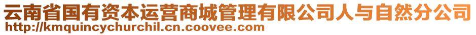 云南省國有資本運(yùn)營商城管理有限公司人與自然分公司