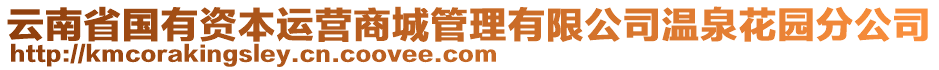 云南省國有資本運營商城管理有限公司溫泉花園分公司