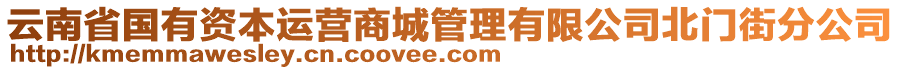 云南省國有資本運營商城管理有限公司北門街分公司