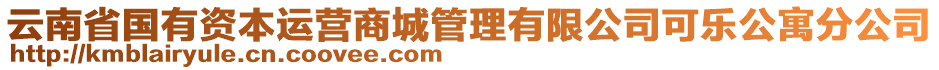 云南省国有资本运营商城管理有限公司可乐公寓分公司