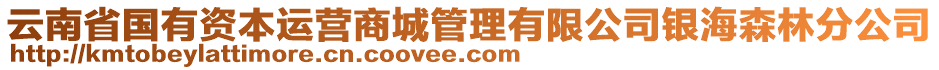 云南省國有資本運營商城管理有限公司銀海森林分公司