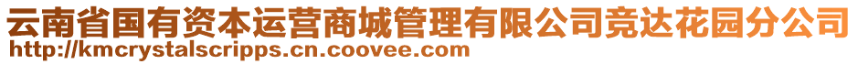 云南省國有資本運營商城管理有限公司競達花園分公司