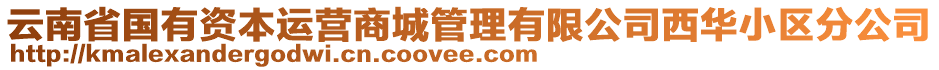 云南省國(guó)有資本運(yùn)營(yíng)商城管理有限公司西華小區(qū)分公司