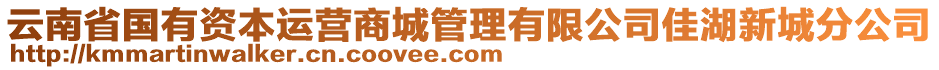 云南省國有資本運(yùn)營商城管理有限公司佳湖新城分公司