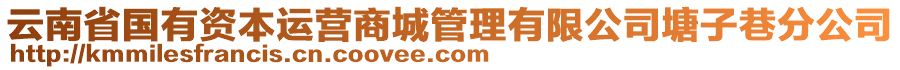 云南省國(guó)有資本運(yùn)營(yíng)商城管理有限公司塘子巷分公司