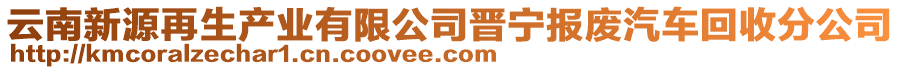 云南新源再生產業有限公司晉寧報廢汽車回收分公司