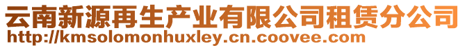云南新源再生產業有限公司租賃分公司