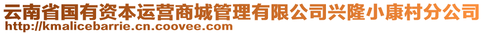 云南省國(guó)有資本運(yùn)營(yíng)商城管理有限公司興隆小康村分公司