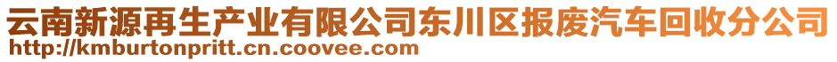 云南新源再生產(chǎn)業(yè)有限公司東川區(qū)報(bào)廢汽車(chē)回收分公司