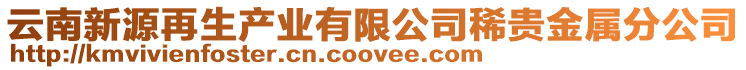 云南新源再生產業有限公司稀貴金屬分公司