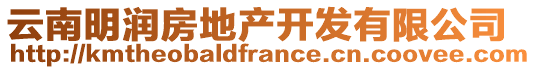 云南明潤房地產(chǎn)開發(fā)有限公司