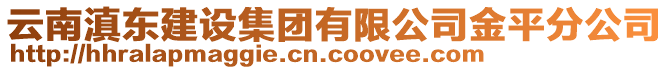 云南滇東建設集團有限公司金平分公司