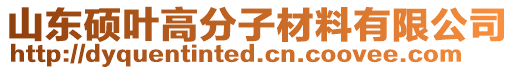 山東碩葉高分子材料有限公司