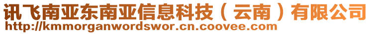 訊飛南亞東南亞信息科技（云南）有限公司