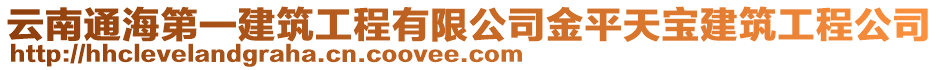 云南通海第一建筑工程有限公司金平天寶建筑工程公司