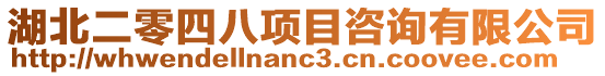 湖北二零四八項目咨詢有限公司