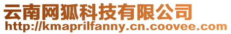 云南網狐科技有限公司