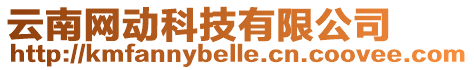 云南網(wǎng)動科技有限公司