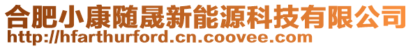 合肥小康隨晟新能源科技有限公司