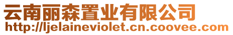 云南麗森置業有限公司