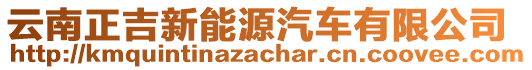 云南正吉新能源汽車有限公司