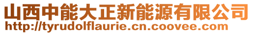 山西中能大正新能源有限公司