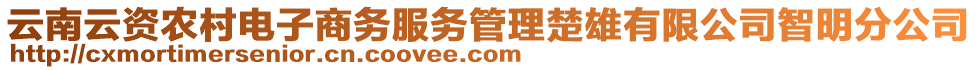 云南云資農(nóng)村電子商務(wù)服務(wù)管理楚雄有限公司智明分公司