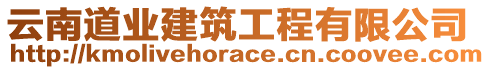 云南道業(yè)建筑工程有限公司