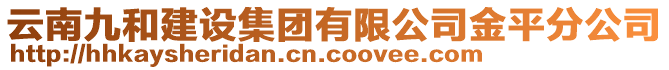 云南九和建設集團有限公司金平分公司