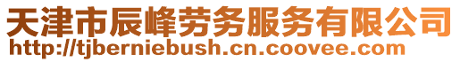 天津市辰峰勞務(wù)服務(wù)有限公司