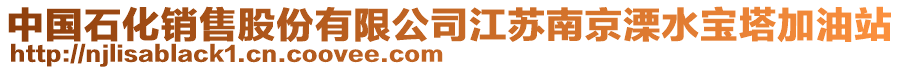 中國(guó)石化銷(xiāo)售股份有限公司江蘇南京溧水寶塔加油站