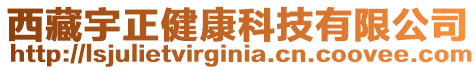 西藏宇正健康科技有限公司