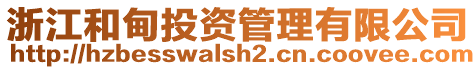 浙江和甸投資管理有限公司