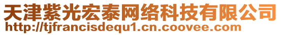 天津紫光宏泰網(wǎng)絡(luò)科技有限公司