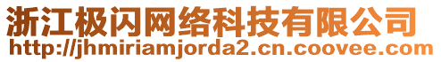 浙江極閃網(wǎng)絡(luò)科技有限公司