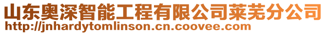 山東奧深智能工程有限公司萊蕪分公司