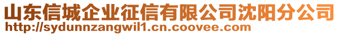 山東信城企業(yè)征信有限公司沈陽分公司